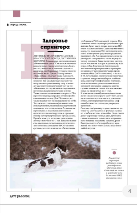 194947-0fd3d-119785459-m750x740-u970a4.j