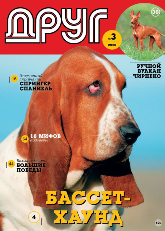 194947-88bd9-119785449-m750x740-u5e2b6.j