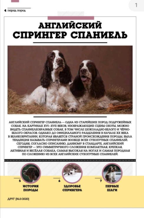 194947-a7733-119785455-m750x740-uc81da.j