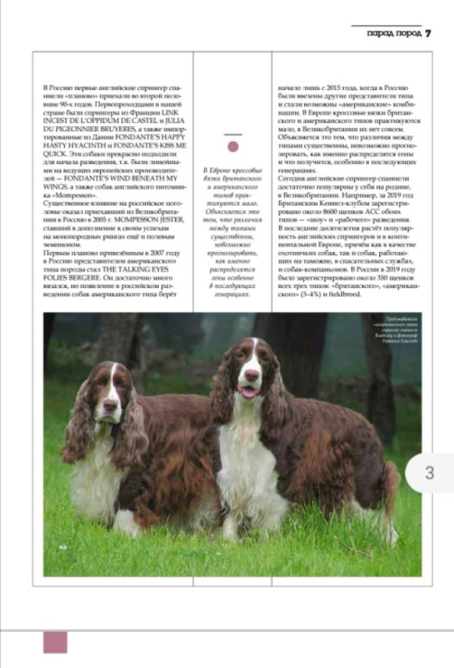 194947-da260-119785458-m750x740-u93078.j