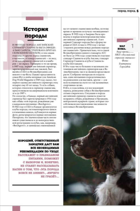 194947-e0b81-119785456-m750x740-u5451f.j